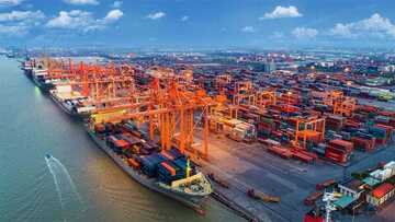 Đồng Nai mới: Trung tâm thương mại, logistics chiến lược phía Nam