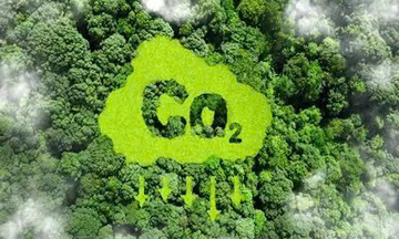 EU đề xuất mở cửa tín chỉ carbon: Doanh nghiệp Việt đã sẵn sàng?