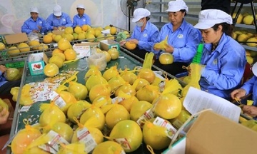 Tăng nhận diện thương hiệu nông sản Việt Nam trên thị trường quốc tế