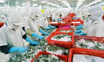 Mở cơ hội xuất khẩu vào thị trường ASEAN cho doanh nghiệp Việt