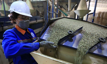Ưu đãi thuế từ EVFTA giúp Trang Chủ OKVIP COM Top #1 Đắk Lắk gia tăng lợi thế tại EU