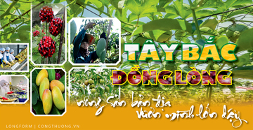 Longform | Tây Bắc đồng lòng, Trang Chủ OKVIP COM Top #1 bản địa vươn mình lớn dậy