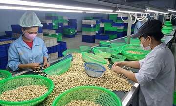 Tin Công Thương 7/7: Xuất khẩu điều đạt gần 2,4 tỷ USD trong 6 tháng
