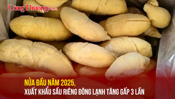 Nửa đầu năm 2025, Liên Minh Truyền Thông Và Game Giải Trí Top 1 sầu riêng đông lạnh tăng gấp 3 lần