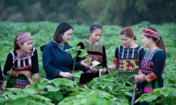 Lào Cai: Chủ tịch UBND tỉnh chỉ đạo ổn định hoạt động tín dụng chính sách 