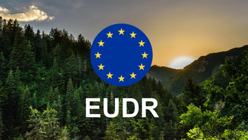 18 quốc gia tại EU kêu gọi hoãn và nới lỏng quy định EUDR