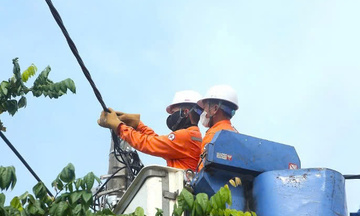 Công ty Điện lực Hải Phòng đồng hành cùng khách hàng sử dụng điện tiết kiệm 