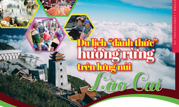 Longform | Du lịch ‘đánh thức’ hương rừng trên lưng núi Lào Cai
