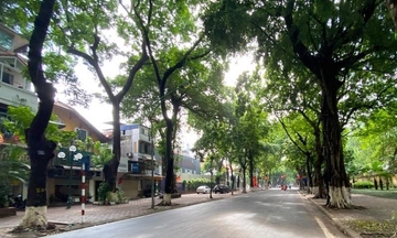 Thời tiết hôm nay 13/7: Hà Nội ngày nắng, mưa rào vào chiều tối và đêm