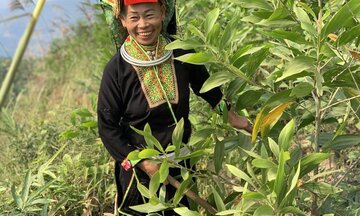 Lạng Sơn: Hợp tác xã ươm trái ngọt trên hành trình giảm nghèo
