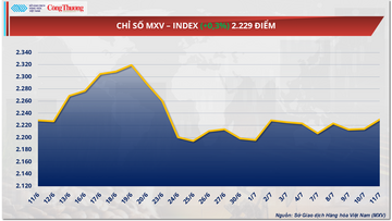 Giá đồng COMEX tăng gần 11%, đạt 12.356 USD/tấn