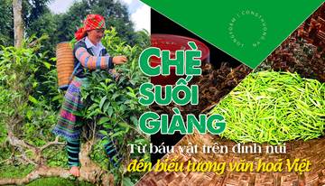 Longform | Chè Suối Giàng: Từ báu vật trên đỉnh núi đến biểu tượng văn hoá 