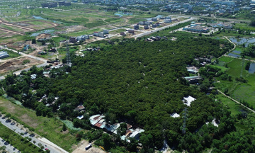 Giữ rừng xanh giữa trung tâm thành phố Đà Nẵng