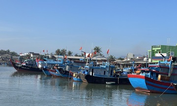 456 tàu cá Quảng Ngãi còn trên biển đã được cảnh báo về bão số 3