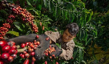 Thương mại Việt Nam - Đức tăng tốc mạnh mẽ, xuất khẩu cà phê dẫn đầu 