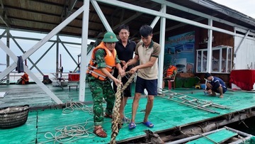 Quảng Ninh kích hoạt toàn bộ hệ thống phòng, chống bão số 3