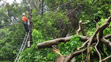 Điện lực Sầm Sơn chủ động phòng sự cố, đảm bảo cấp điện trong bão số 3