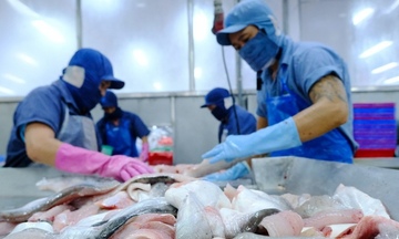 Vĩnh Hoàn (VHC): Kịch bản sáng, nhưng chưa thể 'buông lỏng tay chèo'