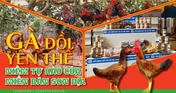 Longform | Gà đồi Yên Thế: Niềm tự hào của miền bán sơn địa 