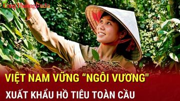 Việt Nam vững 