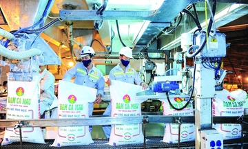 Petrovietnam: Sứ mệnh đảm bảo an ninh lương thực quốc gia