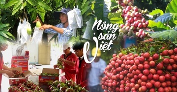 Gắn nông sản với địa danh: Con đường xây dựng thương hiệu mạnh 