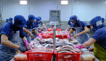 Xây chuỗi - mở kênh: Đòn bẩy mới để nông thủy sản chinh phục EU
