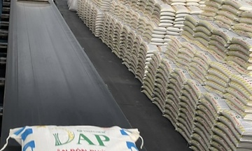 Công ty CP DAP - Vinachem: Vượt qua khó khăn, bứt tốc ngoạn mục 