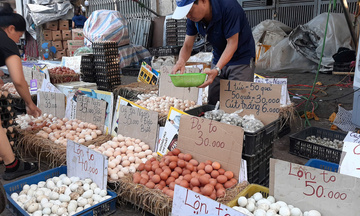 Giá trứng tăng 20 – 30% nhưng tiềm ẩn nguy cơ  giảm sốc