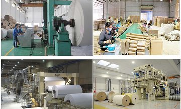 Ngành công nghiệp giấy xóa bỏ 'định kiến' gây ô nhiễm