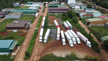 Xe container tấp nập về thủ phủ sầu riêng, nông dân Đắk Lắk phấn khởi