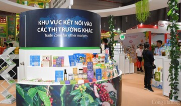 TP. Hồ Chí Minh thúc đẩy phát triển thương mại, xuất khẩu bền vững