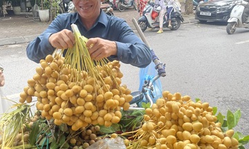 Chà là tươi ‘nhuộm vàng óng’ chợ, hội chị em đua nhau lùng mua