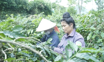 Tăng 10-15% nguồn lực cho Chương trình dân tộc thiểu số và miền núi