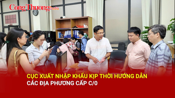  Cục Xuất nhập khẩu kịp thời hướng dẫn các địa phương cấp C/O