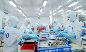Cổng FTAP cập nhật thông tin mới nhất về quy tắc xuất xứ trong RCEP