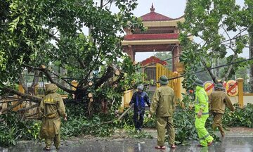 Những thiệt hại ban đầu do bão số 5 (Kajiki) gây ra 
