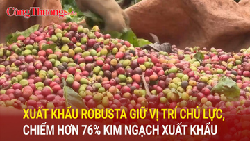 Cà phê Robusta giữ vị trí chủ lực, chiếm hơn 76% kim ngạch xuất khẩu 