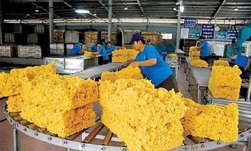 Xuất khẩu cao su phục hồi, hướng tới mở rộng thị phần tại Trung Quốc