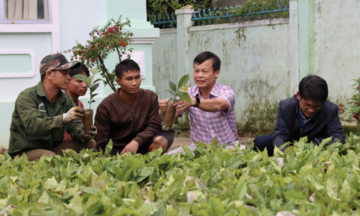 Những phiên chợ 0 đồng trao sinh kế ở vùng cao