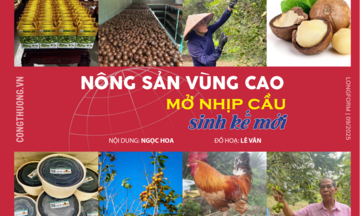 Longform | Nông sản vùng cao mở nhịp cầu sinh kế mới