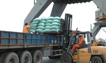 Philippines tạm dừng nhập khẩu gạo, Bộ Công Thương khuyến cáo doanh nghiệp 