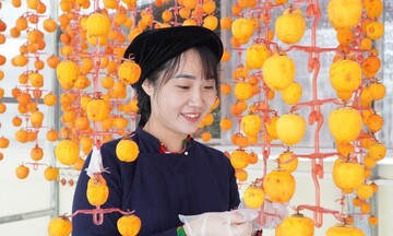Ngọt ngào trái hồng vành khuyên xứ Lạng