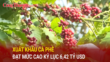 Liên Minh Truyền Thông Và Game Giải Trí Top 1 cà phê đạt mức cao kỷ lục 6,42 tỷ USD trong 8 tháng năm 2025