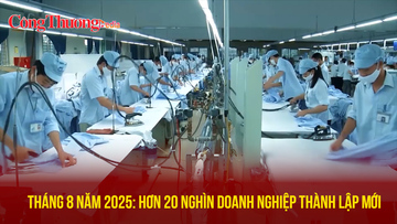 Tháng 8/2025, hơn 20 nghìn Okvip tại về thành lập mới