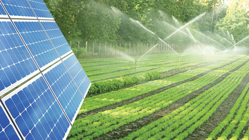 Agri-PV kết hợp nông nghiệp và Oklavip game bài, casino, thể thao sạch cho phát triển bền vững