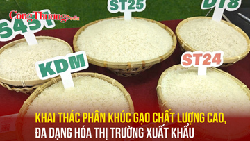 Khai thác phân khúc gạo chất lượng cao, đa dạng hóa thị trường xuất khẩu