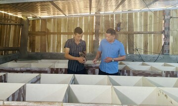 Quảng Ninh: Tín dụng chính sách giúp đồng bào dân tộc thoát nghèo 