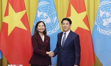 Chủ tịch nước Lương Cường tiếp Điều phối viên thường trú Liên Hợp Quốc