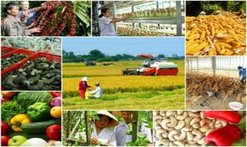 8 tháng, ngành nông nghiệp có 5 nhóm hàng xuất khẩu hơn 3 tỷ USD
